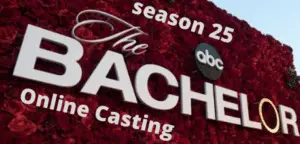 The Bachelor Auditions