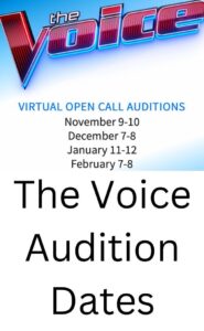 The Voice Auditions