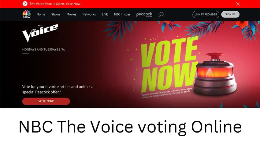 The Voice Voting Instant Save Vote App Live Finale Results 2023