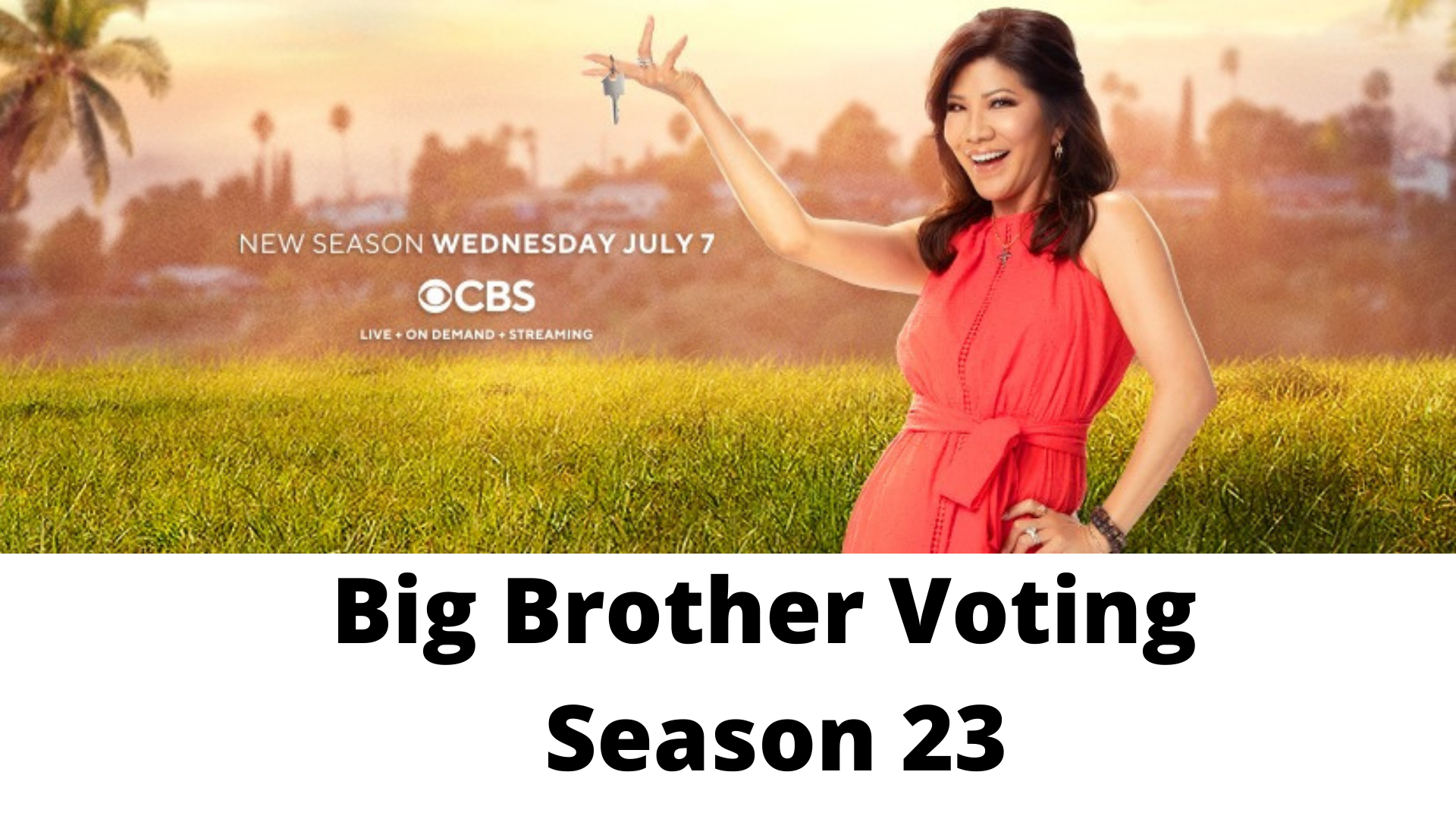 Big Brother Voting 2021 Season 23 Vote Online & Elimination