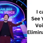 I Can See Your Voice Voting