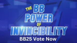 Big Brother 25 Vote